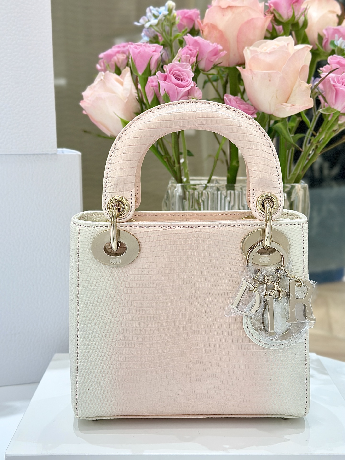 LADY17 - Image 2