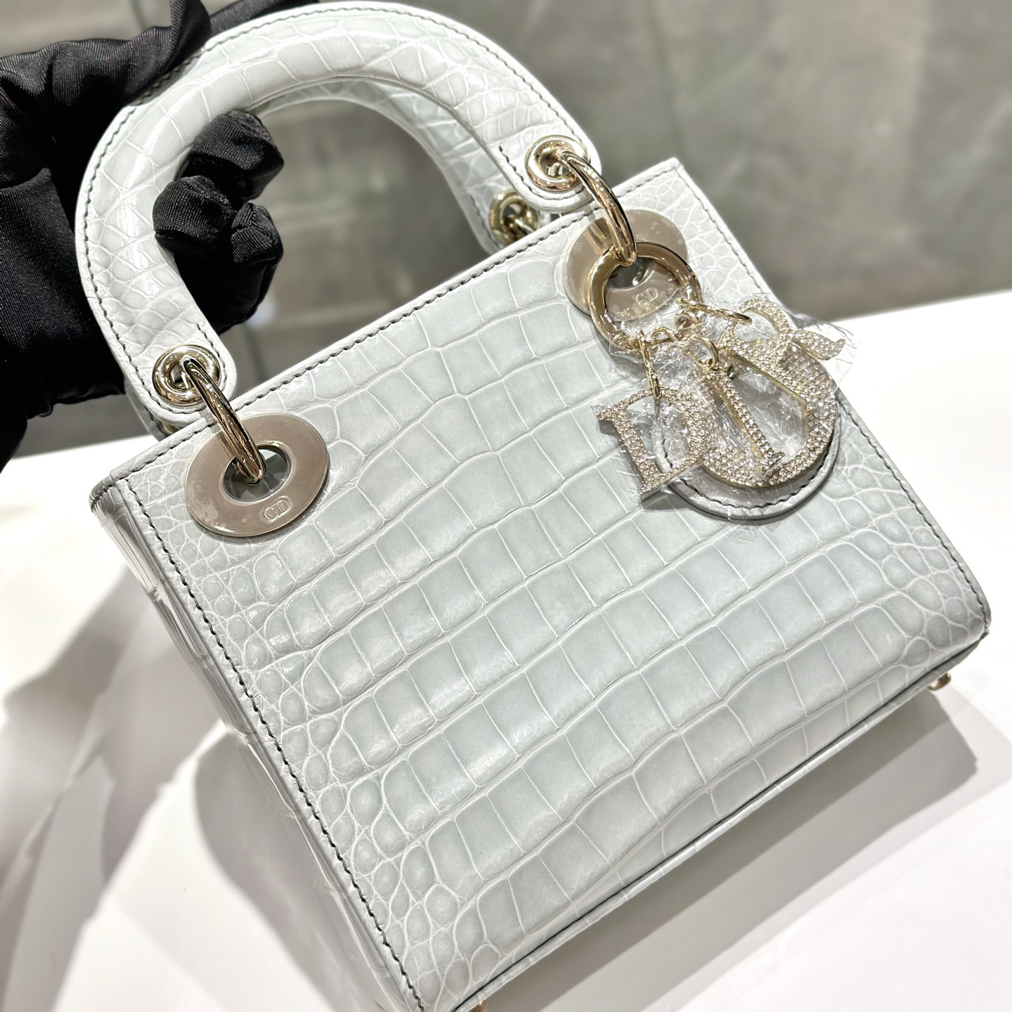 CROCODILE LEATHER  - Image 10
